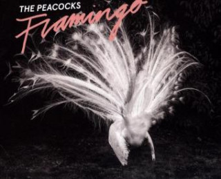 The Peacocks-Flamingo