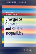 Divergence Operator and Related Inequalities