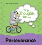 Tiny Thoughts on Perseverance