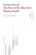 Part of Me That Isn't Broken Inside