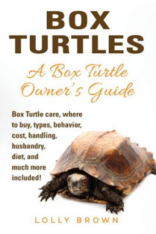 BOX TURTLES