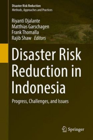 Disaster Risk Reduction in Indonesia