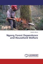 Ngong Forest Dependence and Household Welfare