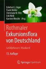 Rothmaler - Exkursionsflora von Deutschland, Gefasspflanzen: Atlasband