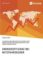 Energieeffizienz bei Nutzfahrzeugen. Technischer und wirtschaftlicher Aspekte von Biokraftstoffen und Dieselkraftstoff