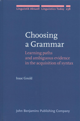 Choosing a Grammar