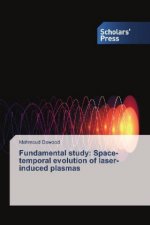 Fundamental study: Space-temporal evolution of laser-induced plasmas