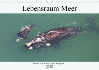 Lebensraum Meer - Heimat von Walen, Haien, Pinguinen... (Wandkalender 2018 DIN A4 quer)