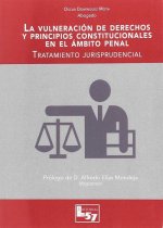 LA VULNERACIÓN DE DERECHOS Y PRINCIPIOS CONSTITUCIONALES EN EL ÁMBITO PENAL: TRATAMIENTO JURISPRUDENCIAL