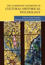 Cambridge Handbook of Cultural-Historical Psychology