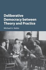 Deliberative Democracy between Theory and Practice