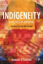 Indigeneity: A Politics of Potential