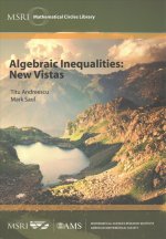 Algebraic Inequalities: New Vistas