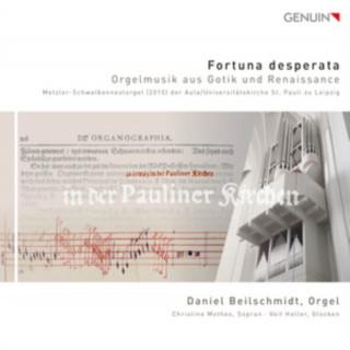 Fortuna Desperata-Orgelmusik aus Gotik und Renai
