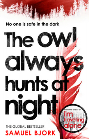 Owl Always Hunts At Night