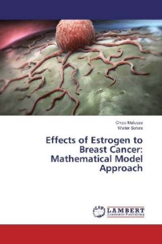 Effects of Estrogen to Breast Cancer: Mathematical Model Approach