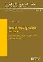 In Mehreren Sprachen Studieren