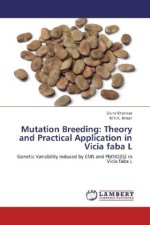 Mutation Breeding: Theory and Practical Application in Vicia faba L