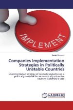 Companies Implementation Strategies in Politically Unstable Countries