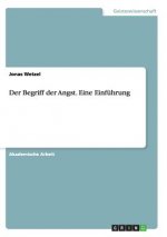 Begriff der Angst. Eine Einfuhrung