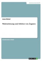Wahrnehmung und Erleben von AEngsten