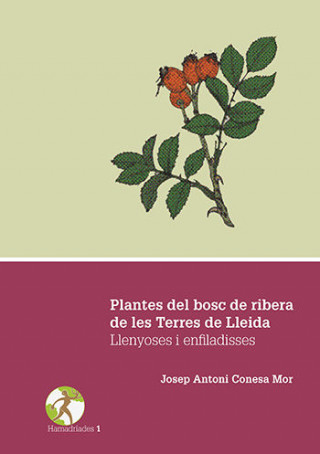 Plantes del bosc de ribera de les Terres de Lleida. Llenyoses i enfiladisses.