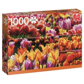 Holländische Tulpen - 1000 Teile Puzzle