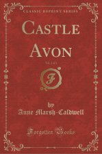 Castle Avon, Vol. 2 of 3 (Classic Reprint)