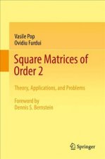 Square Matrices of Order 2