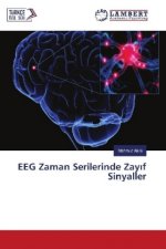EEG Zaman Serilerinde Zay f Sinyaller