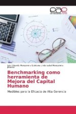 Benchmarking como herramienta de Mejora del Capital Humano