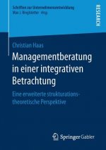 Managementberatung in Einer Integrativen Betrachtung