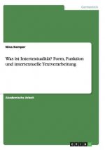 Was ist Intertextualitat? Form, Funktion und intertextuelle Textverarbeitung
