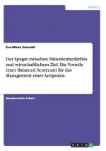 Spagat zwischen Patientenbedurfnis und wirtschaftlichem Ziel. Die Vorteile einer Balanced Scorecard fur das Management einer Arztpraxis