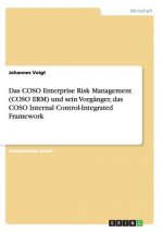 Das COSO Enterprise Risk Management (COSO ERM) und sein Vorgänger, das COSO Internal Control-Integrated Framework