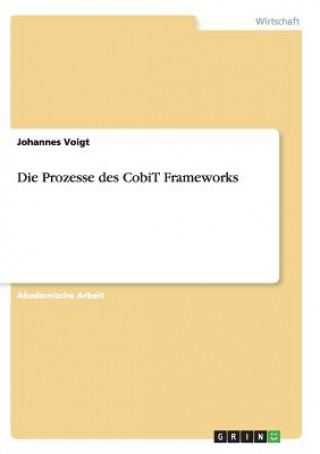 Prozesse des CobiT Frameworks