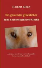 gesunder glucklicher Hund dank hochenergetischer Globuli