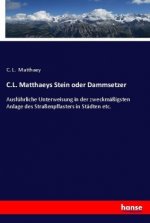 C.L. Matthaeys Stein oder Dammsetzer