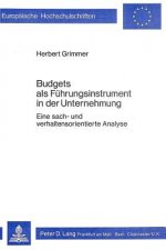 Budgets als Fuehrungsinstrument, in der Unternehmung