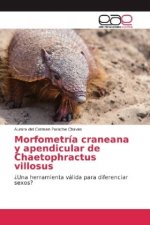 Morfometría craneana y apendicular de Chaetophractus villosus