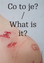 Co to je? / What is it