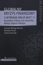 Globalny kryzys finansowy a wybrane kraje NEXT 11