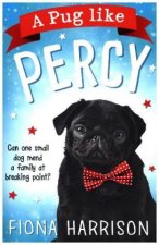 Pug Like Percy