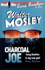 Charcoal Joe