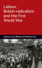 Labour, British Radicalism and the First World War
