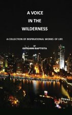VOICE IN THE WILDERNESS