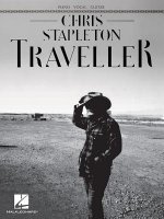 CHRIS STAPLETON - TRAVELLER