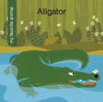 Alligator