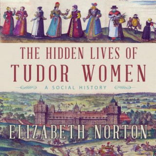 The Hidden Lives of Tudor Women: A Social History