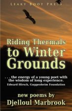Riding Thermals to Winter Grounds